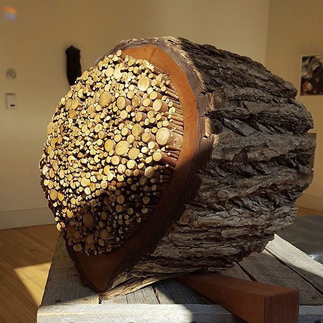 Gale Jamieson sculpture, Hollow Elm 1 detail 2