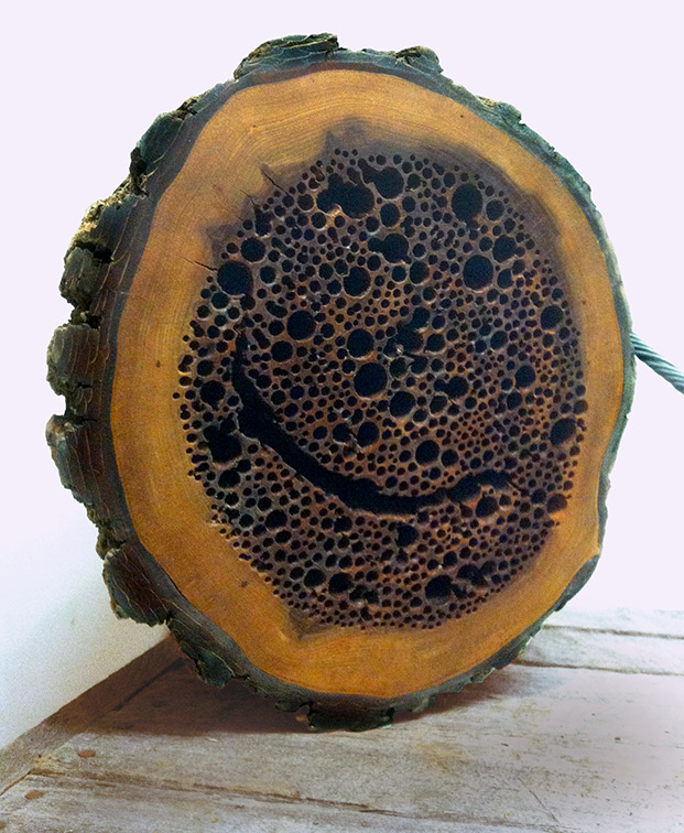 Gale Jamieson sculpture, Hollow Elm 1 detail 3