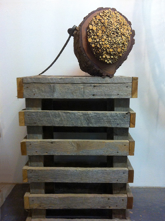 Gale Jamieson sculpture, Hollow Elm 1