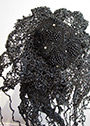 Ode to Ernst Haekel detail